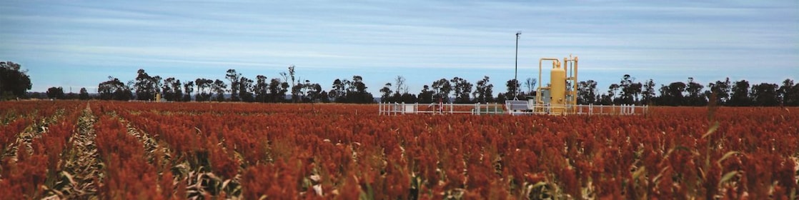 QGC's Tharlane property in the Fairymeadow district near Miles