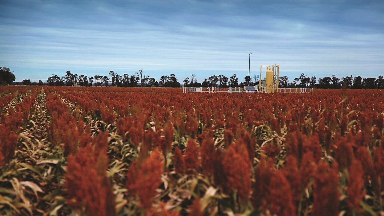 QGC's Tharlane property in the Fairymeadow district near Miles 