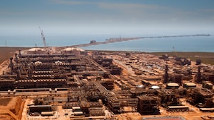 onshore plant