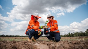 Environmental fieldwork supporting land restoration and environmental management.