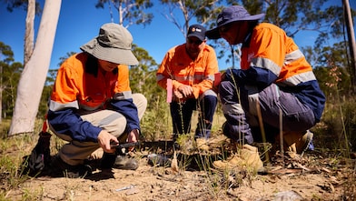 Three people in personal protective equipment carrying out a land survey in Australian bushland.