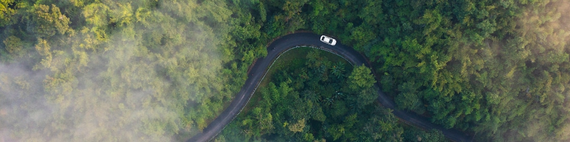 Alternative fuels and the transport industry
