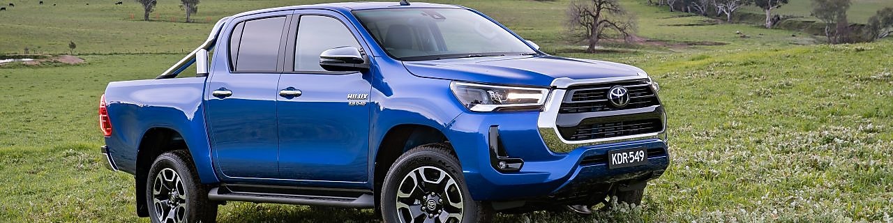 Blue ute in a paddock
