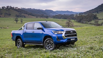 Blue ute in a paddock