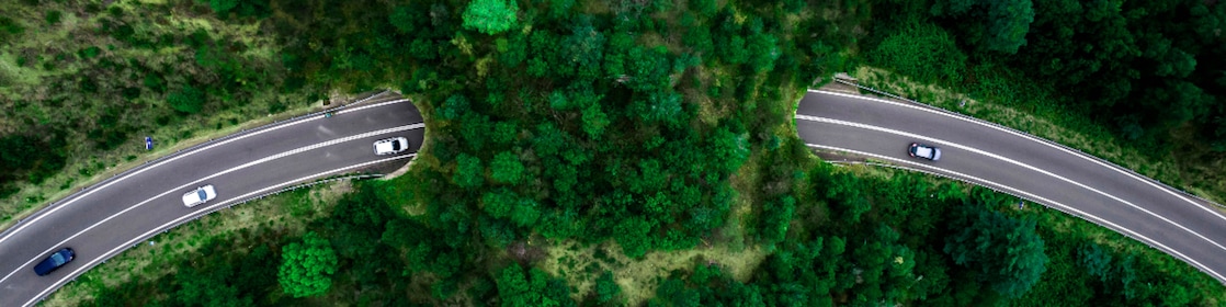 birds eye view of cars driving through a tunnel covered in greenery.