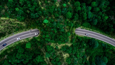 birds eye view of cars driving through a tunnel covered in greenery.