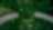 birds eye view of cars driving through a tunnel covered in greenery.
