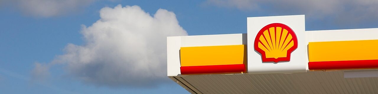 Shell pecten on retail site