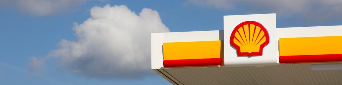 Shell pecten on retail site