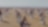 cyclists paddling in desert