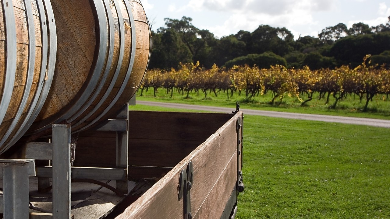Australia most interesting wine trails
