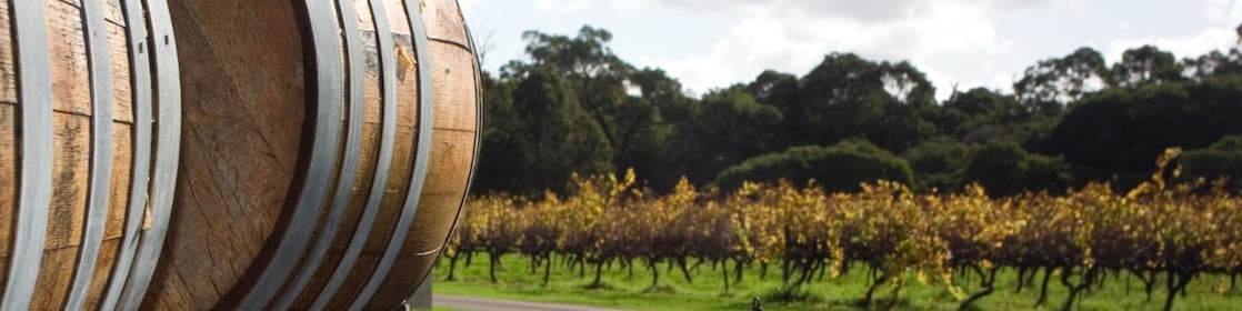 Australia most interesting wine trails
