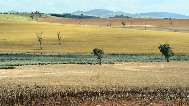 Hilltops, NSW