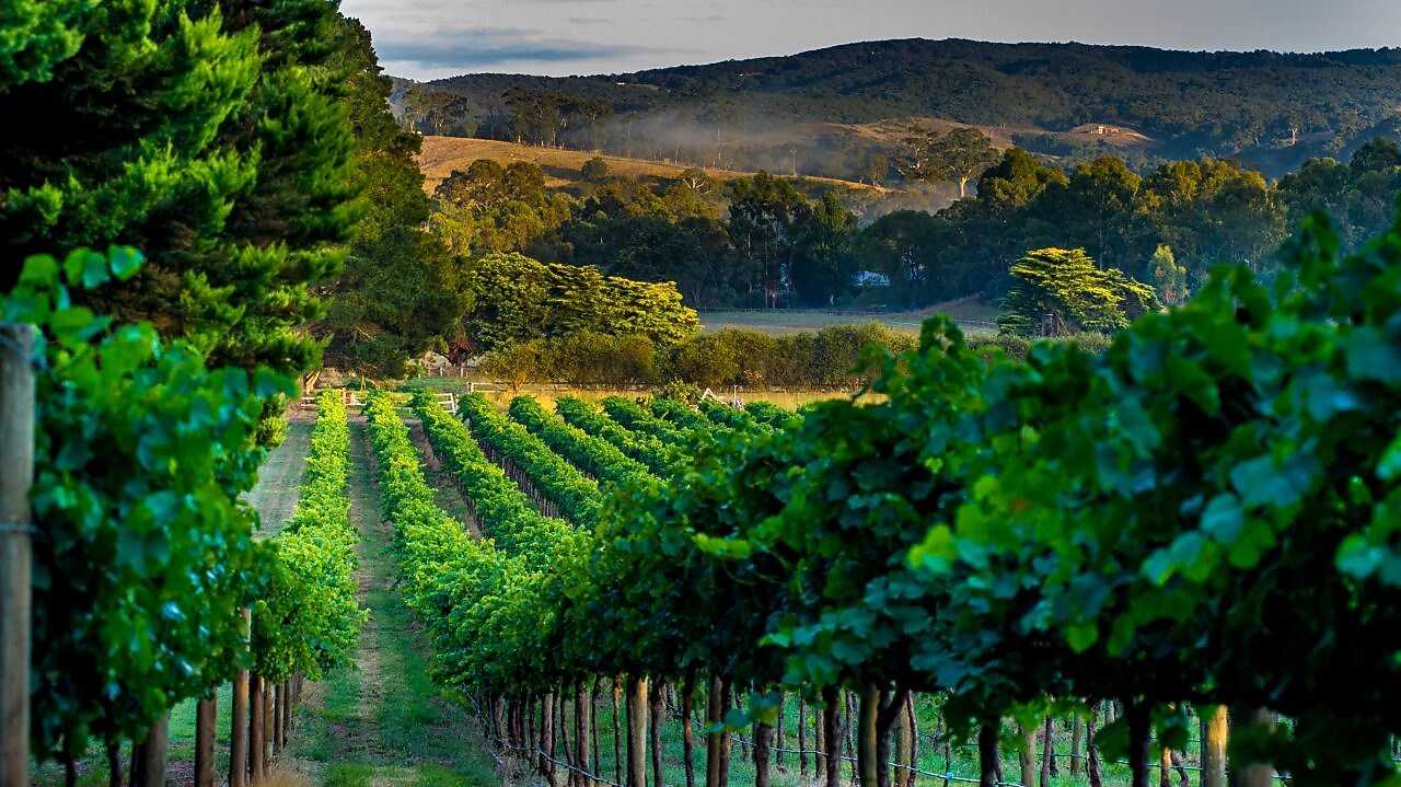 Barossa Valley Trail, SA