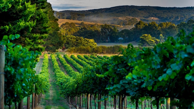 Barossa Valley Trail, SA