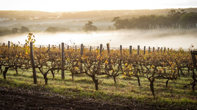 Margaret River, WA