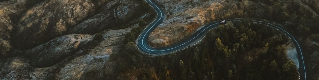 Beautiful Road