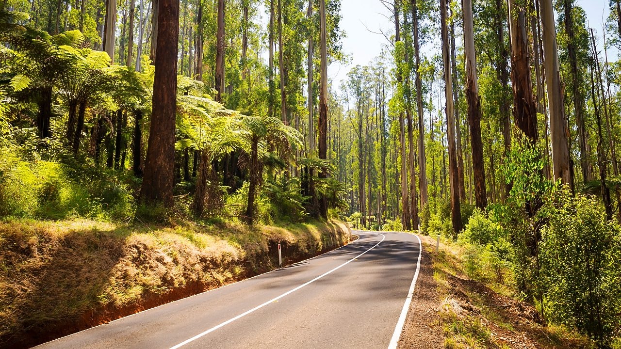 Black Spur Drive, Victoria