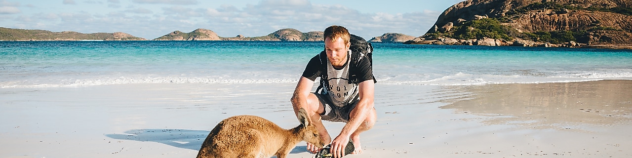 Best places to see wildlife in Australia via road trip