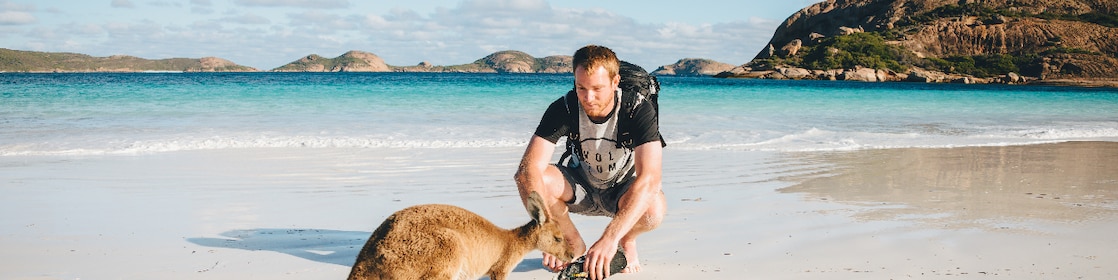 Best places to see wildlife in Australia via road trip