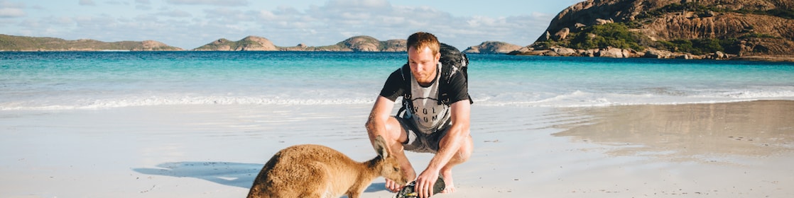 Best places to see wildlife in Australia via road trip