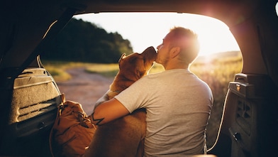 Creating a Pet-Friendly Car