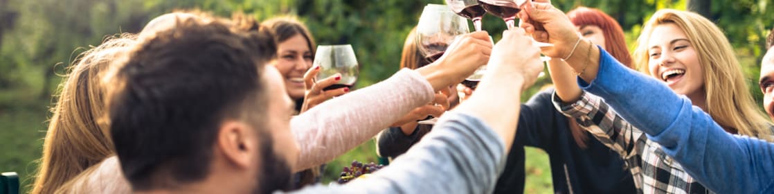 Group of people toasting with glasses of wine