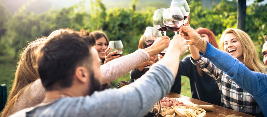 Group of people toasting with glasses of wine