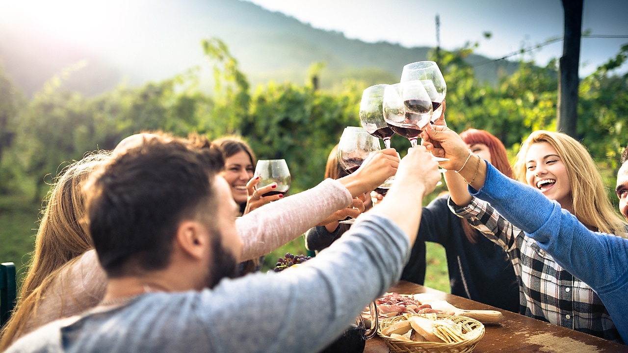 Group of people toasting with glasses of wine