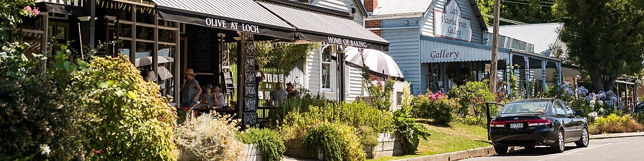 Tree-framed streetscape of Olive at Loch café in Victoria