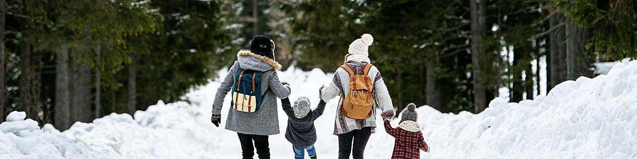 Rear view of family with two small children holding hands in winter nature, walking in the snow.