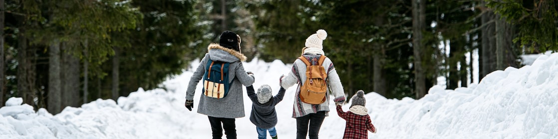 Rear view of family with two small children holding hands in winter nature, walking in the snow.