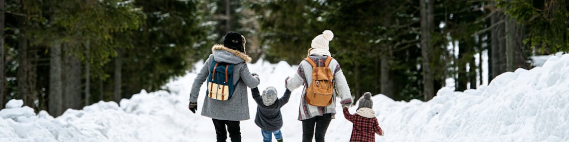Rear view of family with two small children holding hands in winter nature, walking in the snow.