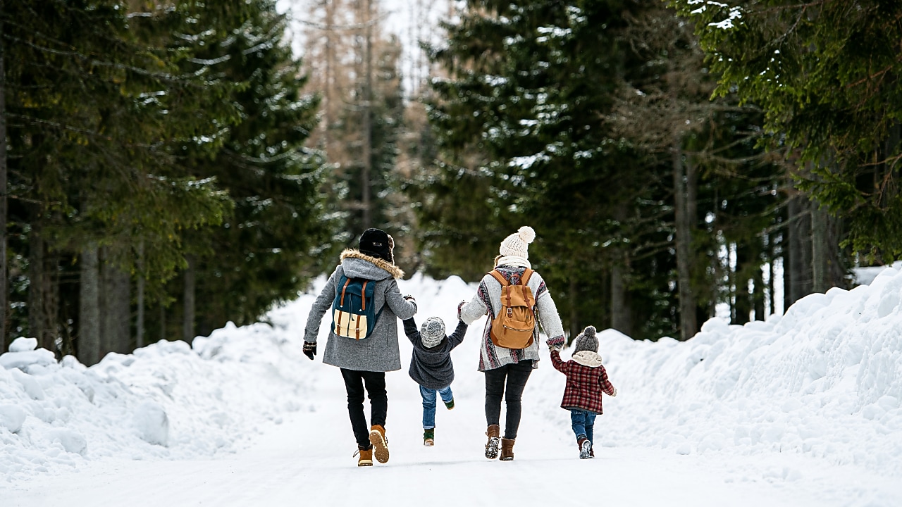 Rear view of family with two small children holding hands in winter nature, walking in the snow.