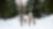 Rear view of family with two small children holding hands in winter nature, walking in the snow.