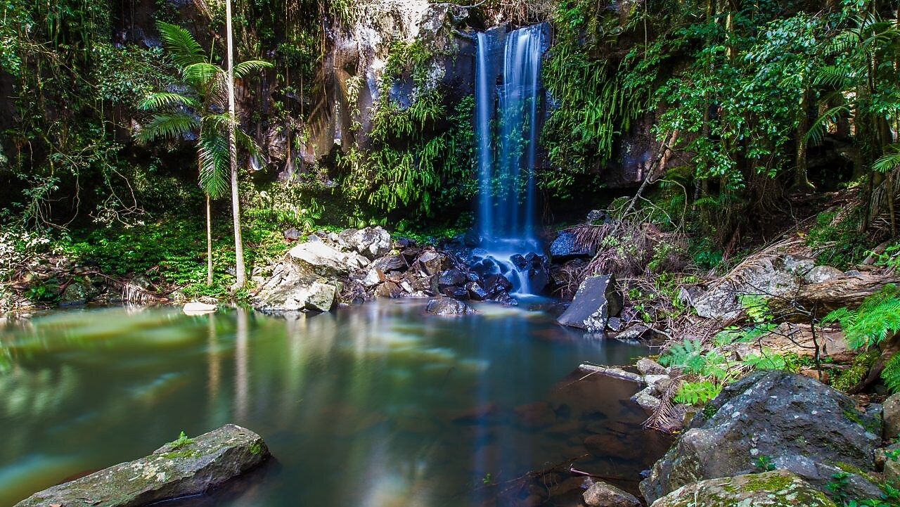 Tamborine Mountain, QLD