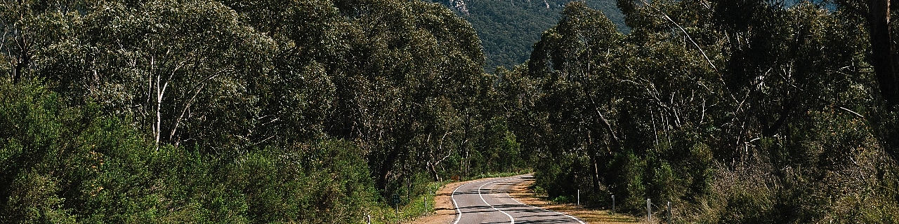 Winding road to Mount Abrupt, Grampians, Australia