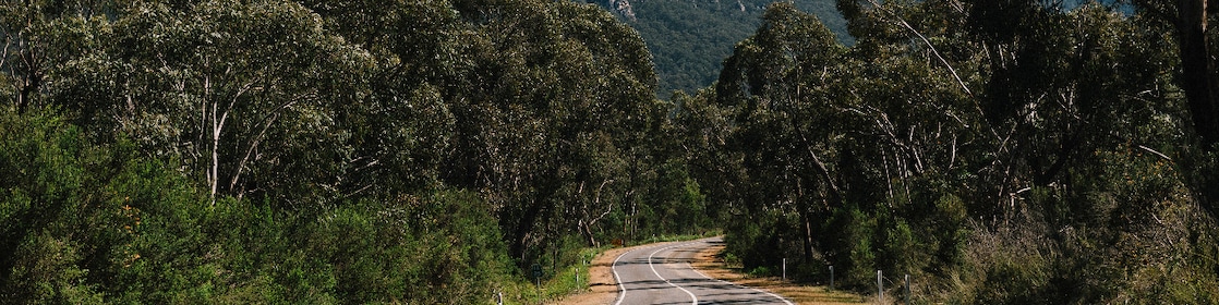 Winding road to Mount Abrupt, Grampians, Australia