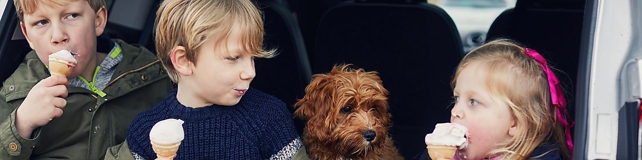 Three children eat ice cream in the boot of a car while a dog looks on.