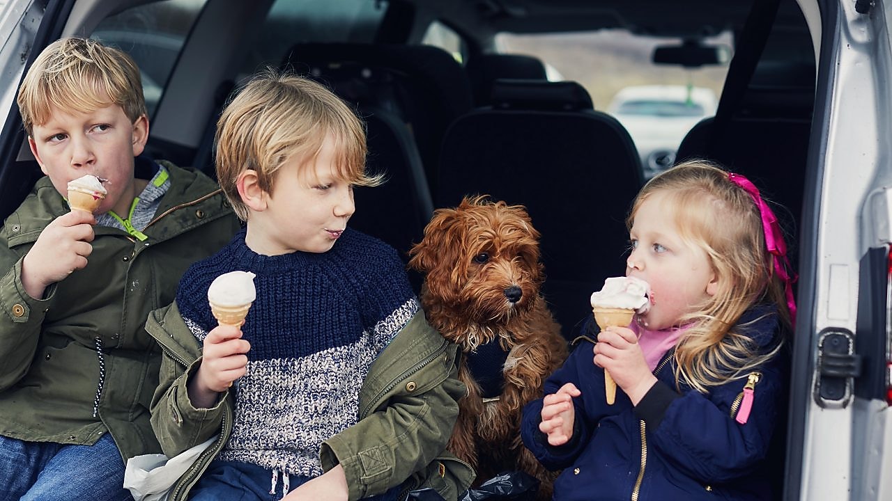Three children eat ice cream in the boot of a car while a dog looks on.