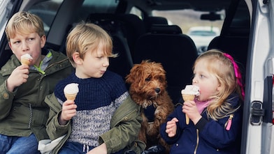 Three children eat ice cream in the boot of a car while a dog looks on.