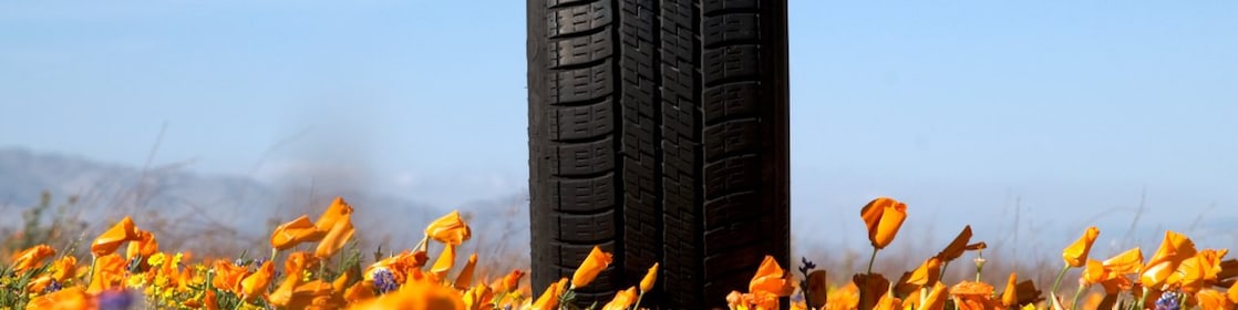 Woman rotating tyre