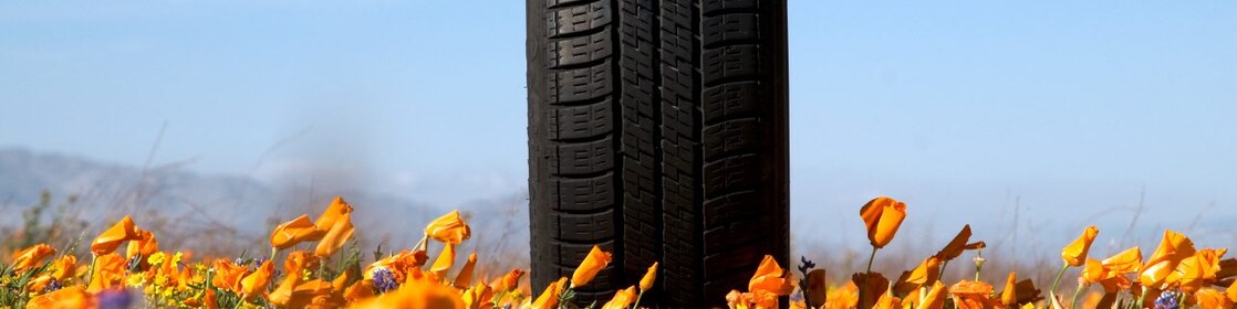 Woman rotating tyre