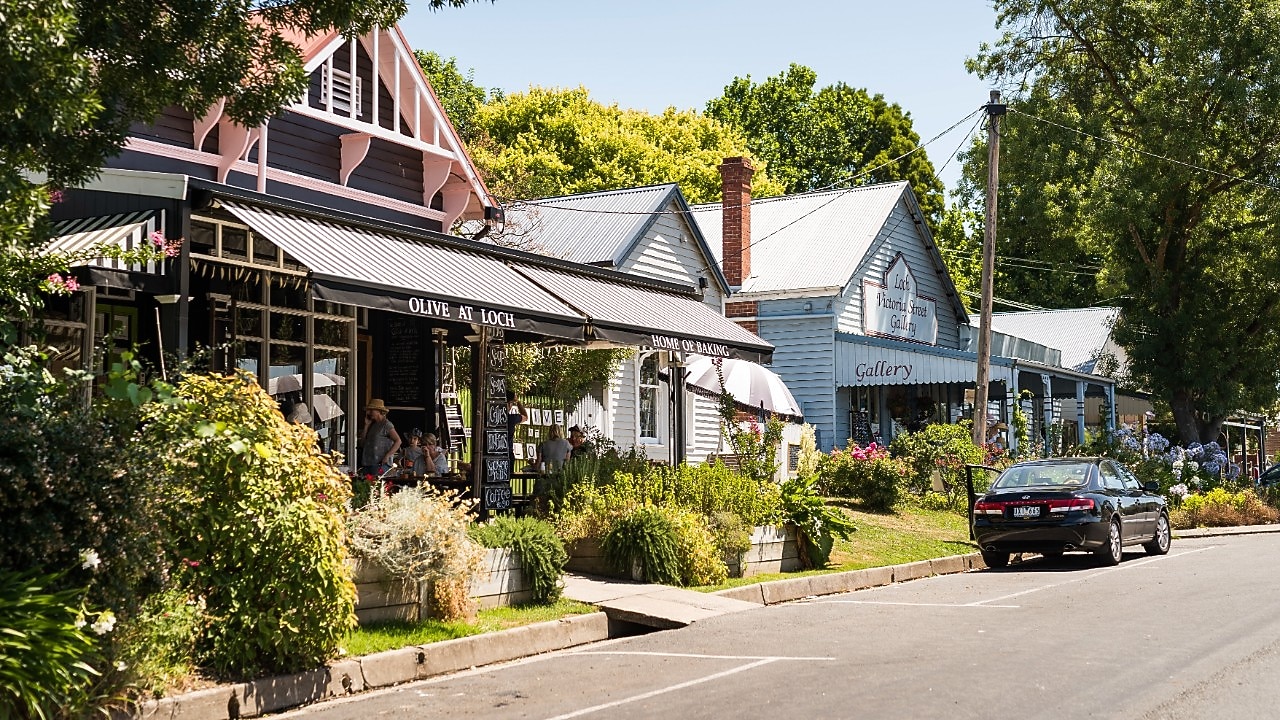 Tree-framed streetscape of Olive at Loch café in Victoria