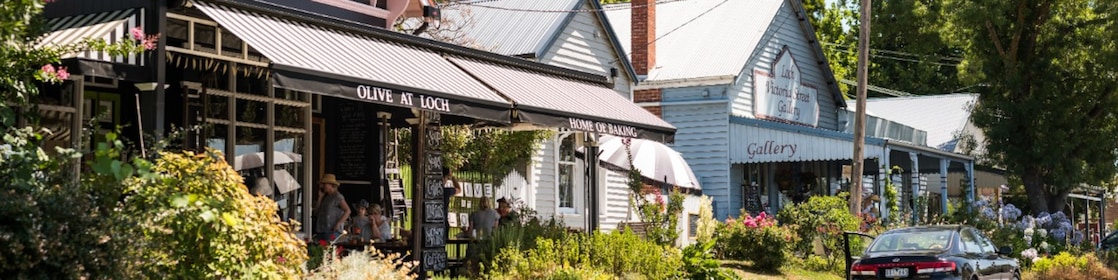Tree-framed streetscape of Olive at Loch café in Victoria