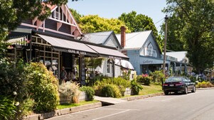 Tree-framed streetscape of Olive at Loch café in Victoria