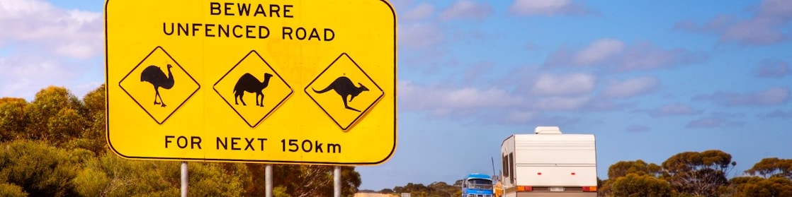 Wildlife signs