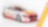 Shell V-Power Racing Team