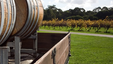 Australia most interesting wine trails