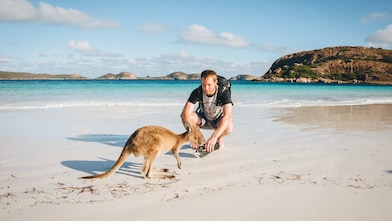 Best places to see wildlife in Australia via road trip